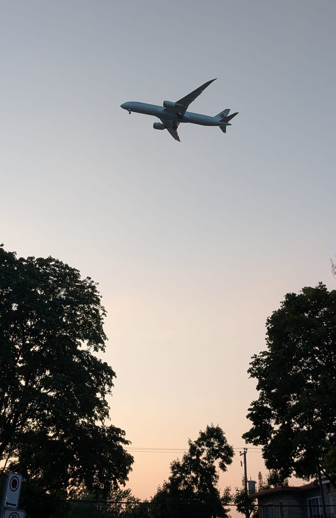 7 17 2025 PXL 20250717 002052095 1