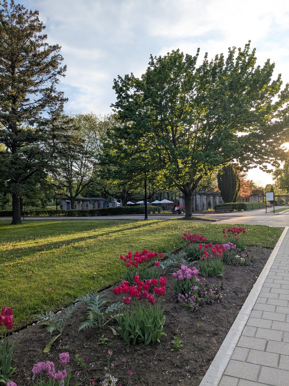 photo: flowers and trees at the Jardine Botanique